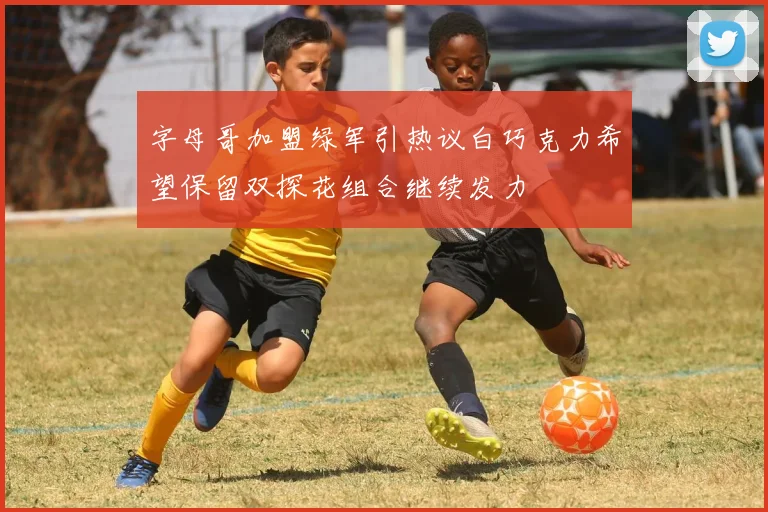 字母哥加盟绿军引热议白巧克力希望保留双探花组合继续发力