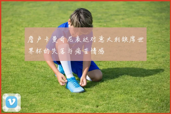 詹卢卡曼奇尼表达对意大利缺席世界杯的失落与痛苦情感